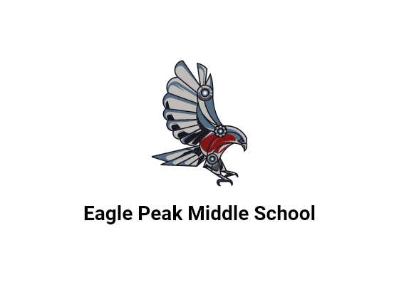science-technology-engineering-and-mathematics-technology-eagle